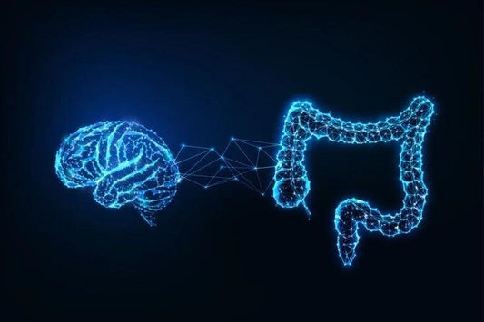 Wat is een leaky gut en hoe verhelp je het? Een Epigenetische aanpak met supplementen