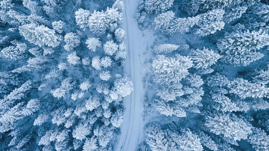 Hoe winter het menselijk lichaam beïnvloedt: Een Epigenetisch perspectief