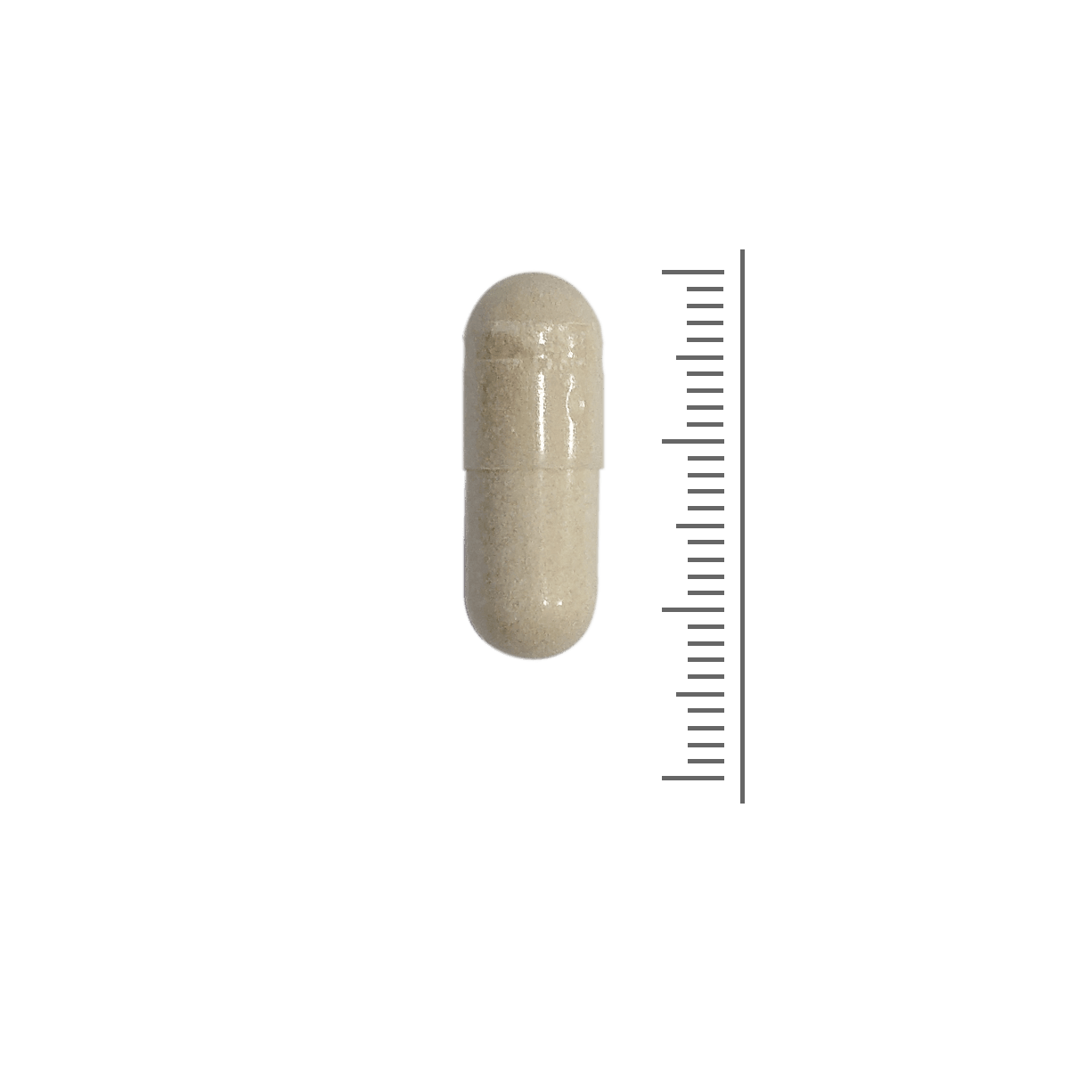 Vitamine C Gebufferd Capsules