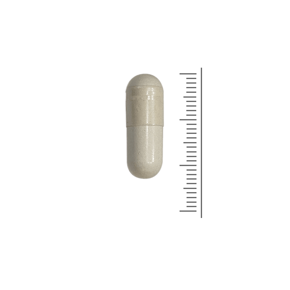 L-Tyrosine 600 mg