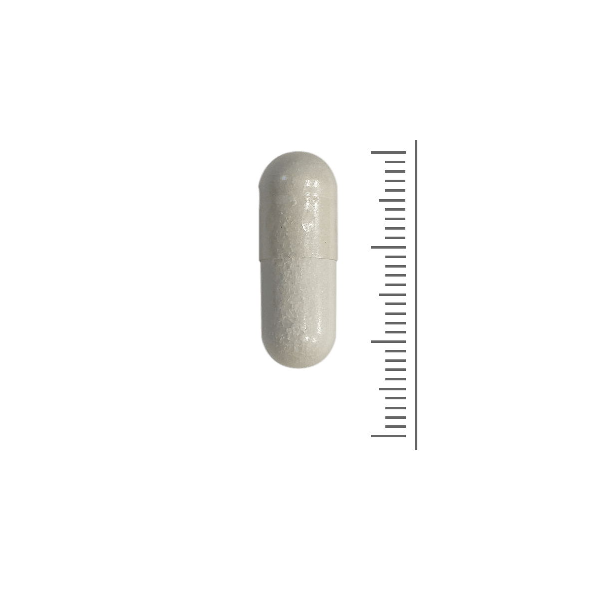 Acetyl-L-Carnitine 500 mg