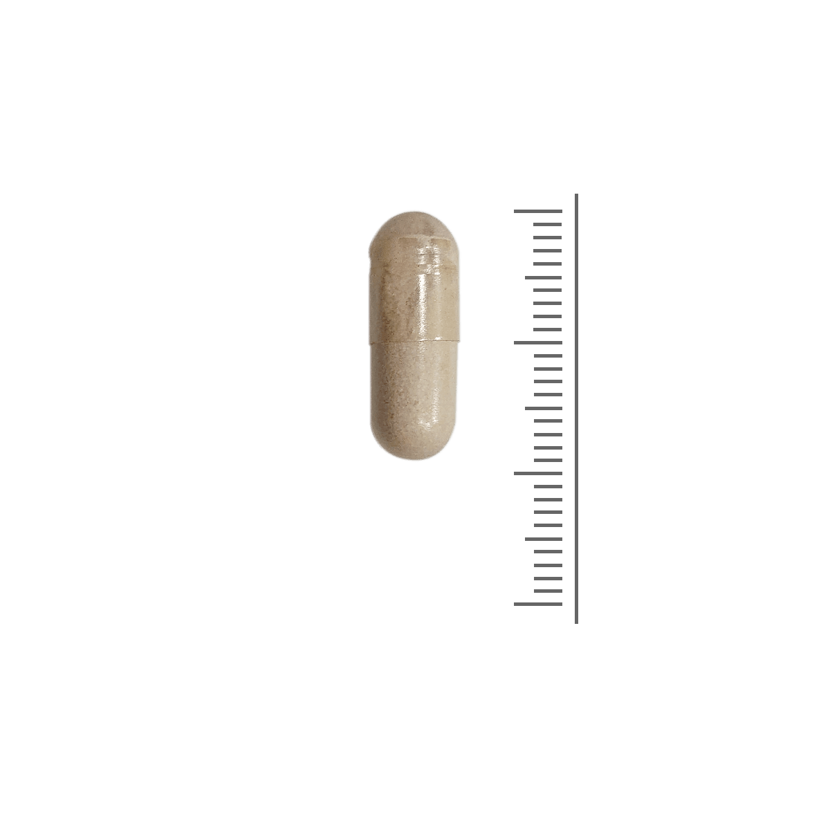 Actief B6 B12 & Foliumzuur