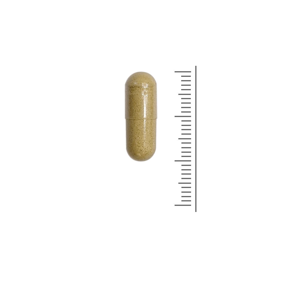 Premium Bijenpollen 500mg