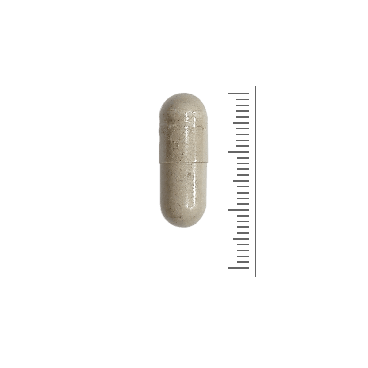 Candida Formule 300mg