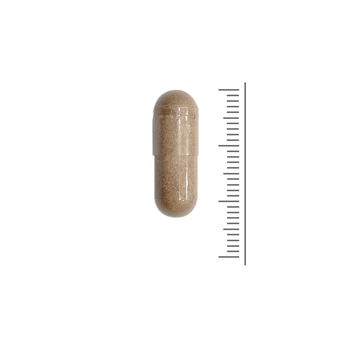 Glucosamine Plus 1500 mg