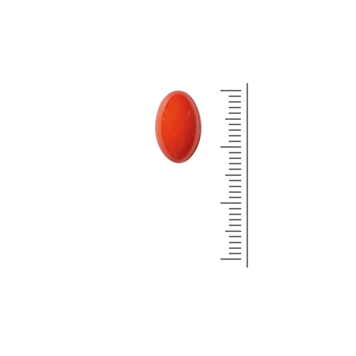 Q10 100 mg