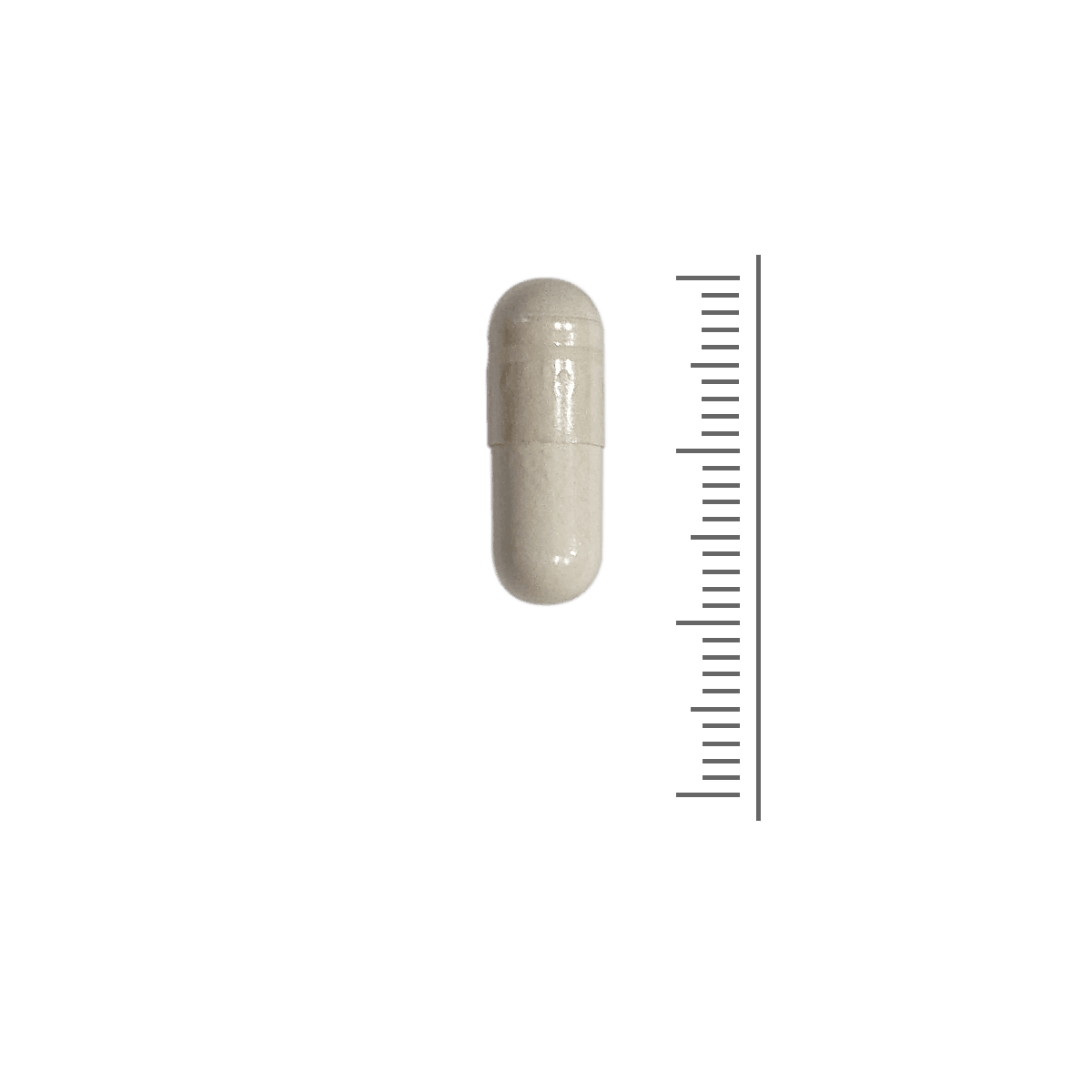 Resveratrol 125 mg