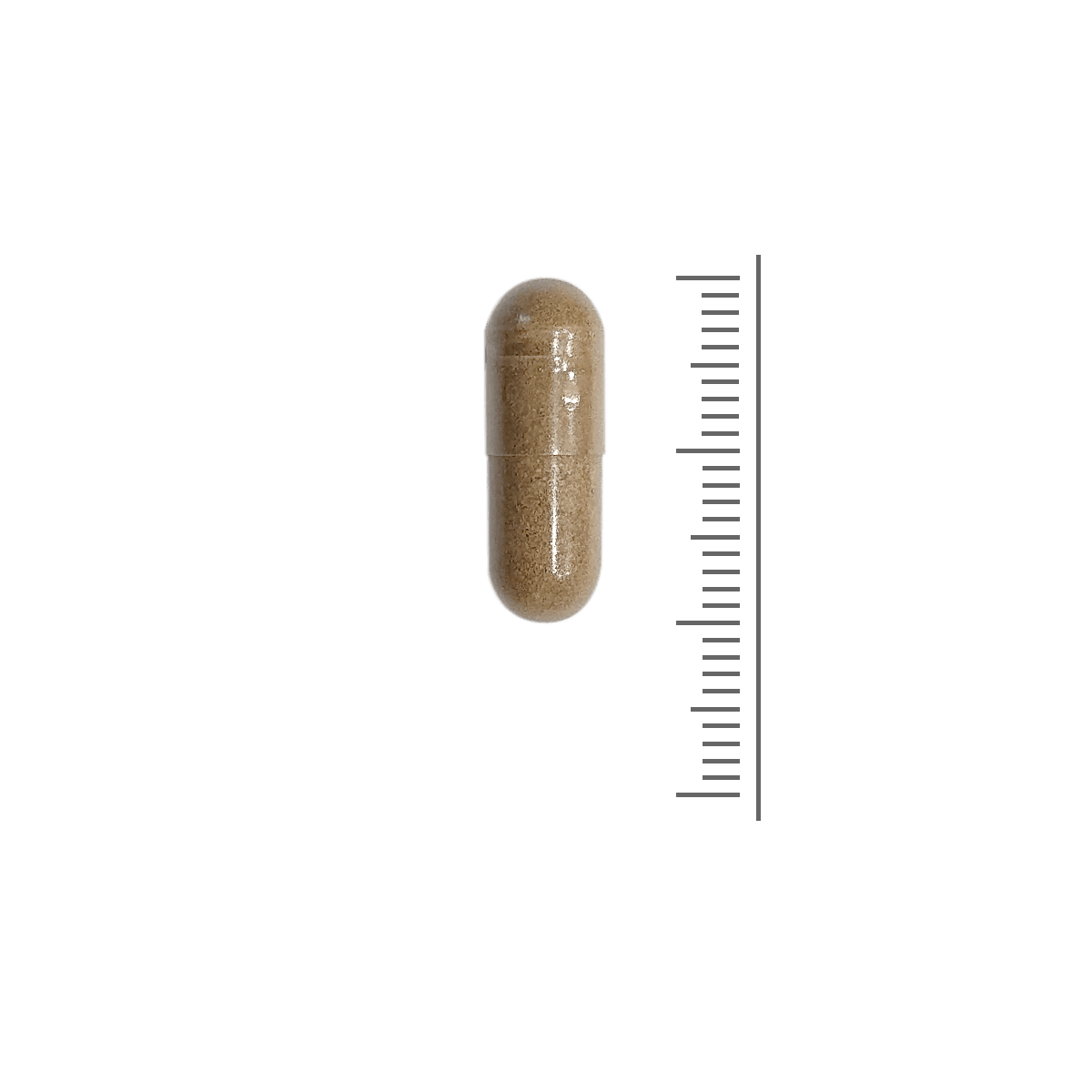 Rhodiola und Ginseng