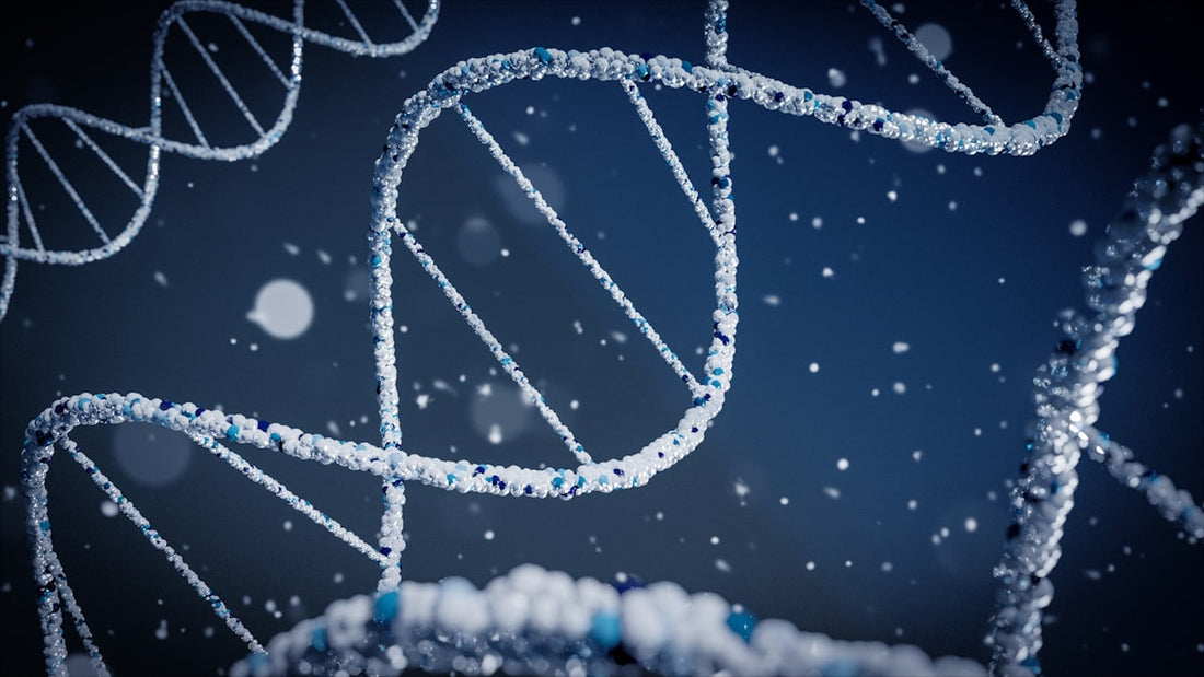 Epigenetica en supplementen: hoe voeding gen-expressie beinvloedt
