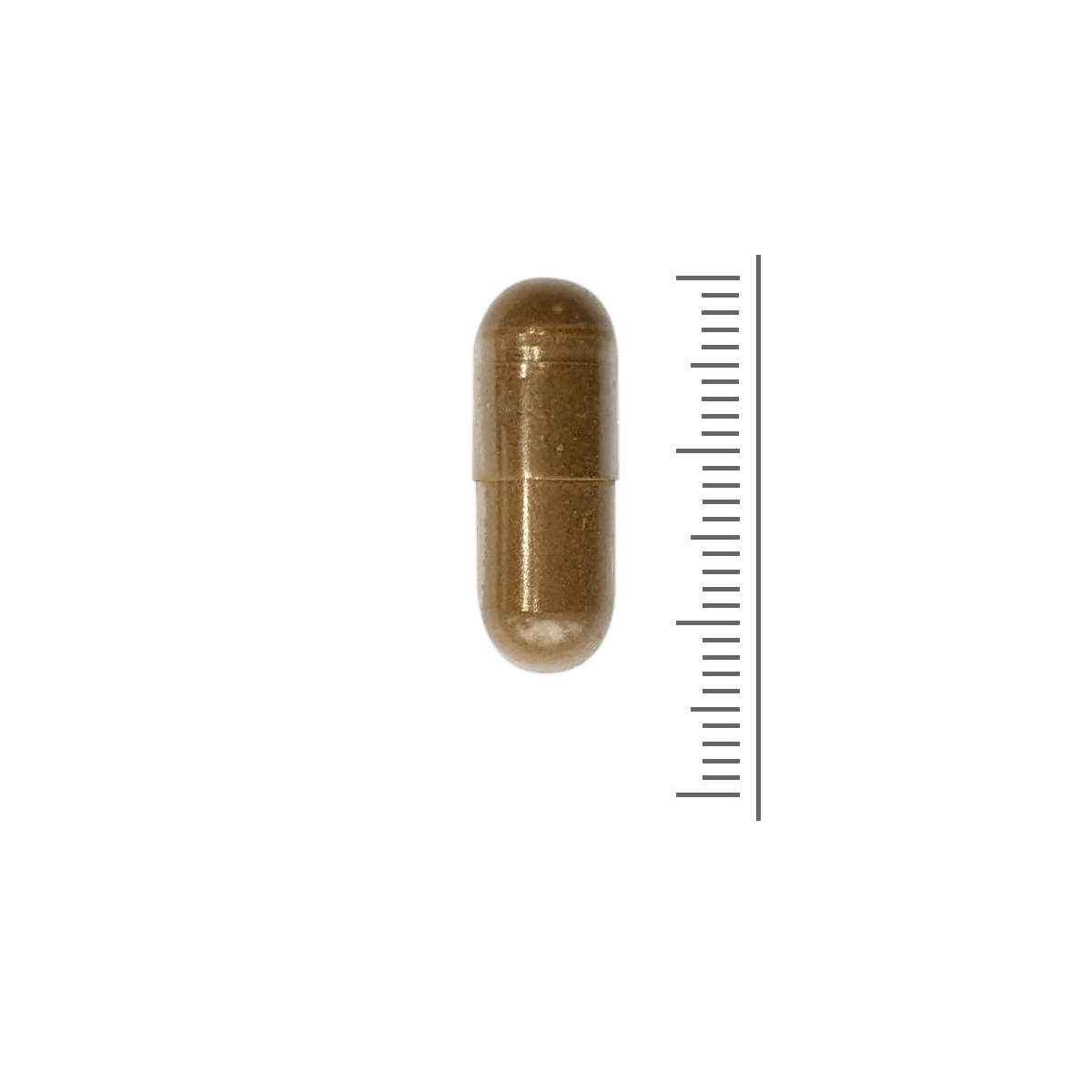 Shilajit-Kapseln