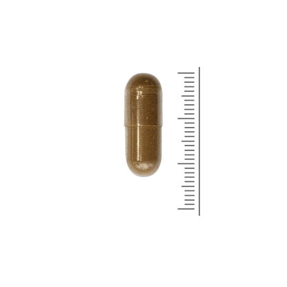 Shilajit-Kapseln
