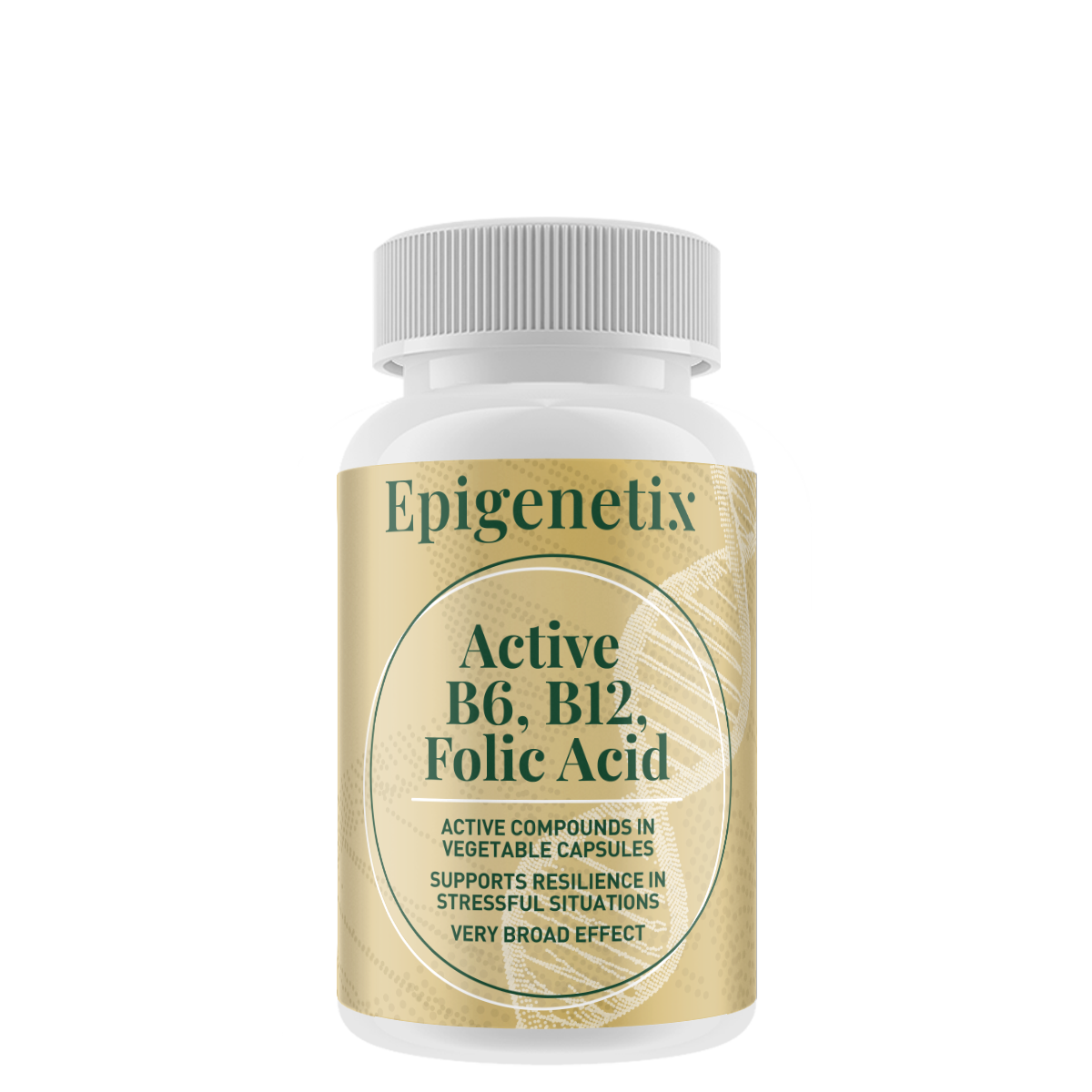 Active B6 B12 & Folic Acid
