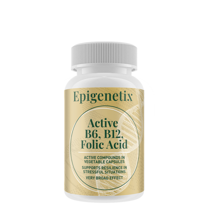 Active B6 B12 & Folic Acid