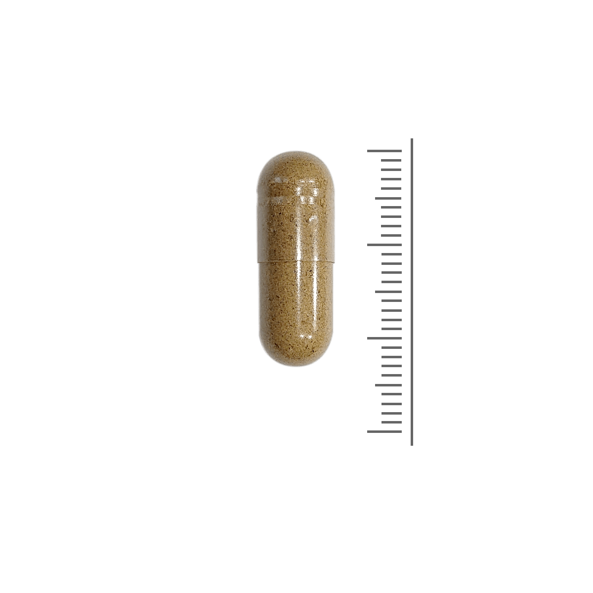 Colon Support
