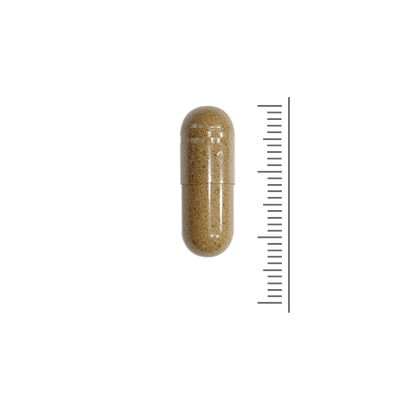 Colon Support