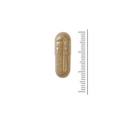Cordyceps/Reishi Extract