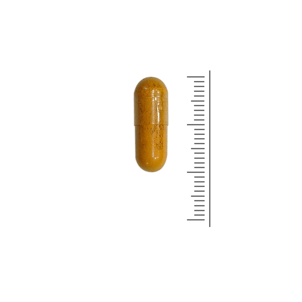 Curcuma C3 400mg