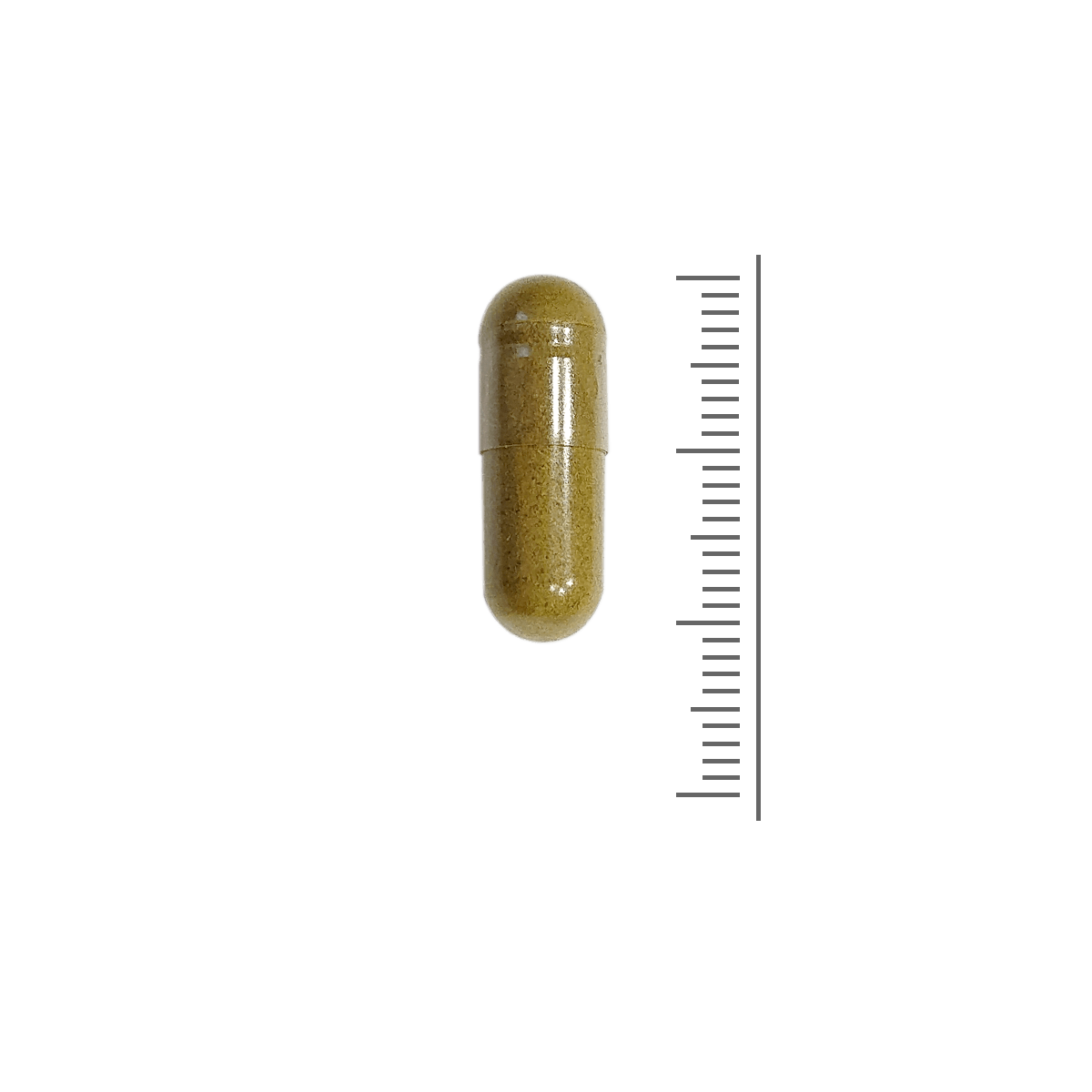 Curcuma & Orthosiphon 600 mg