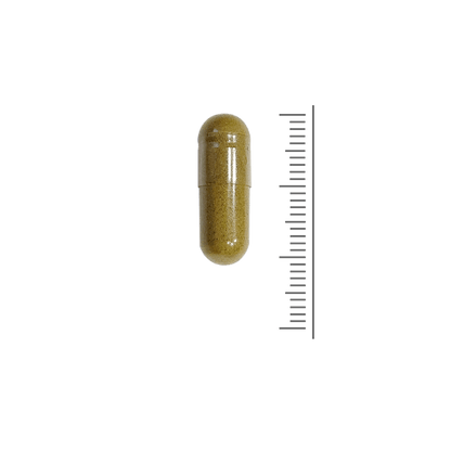 Curcuma & Orthosiphon 600 mg