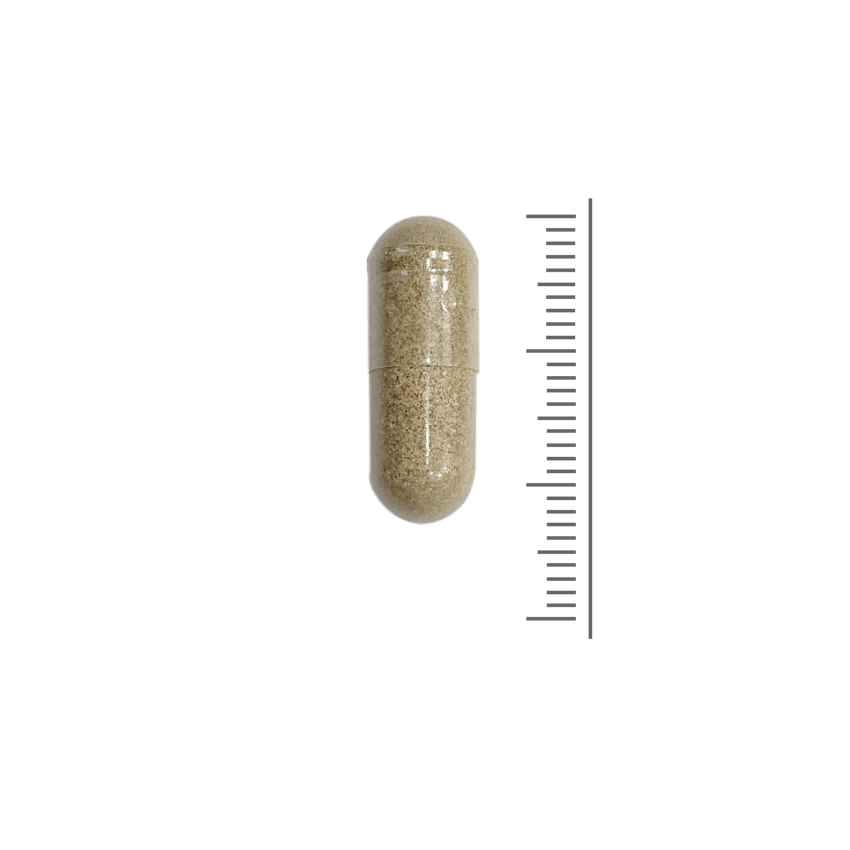Echinacea 500 mg
