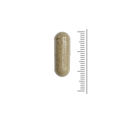 Echinacea 500 mg
