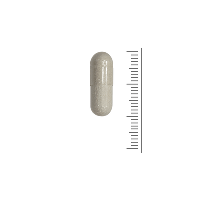 Enzym Support