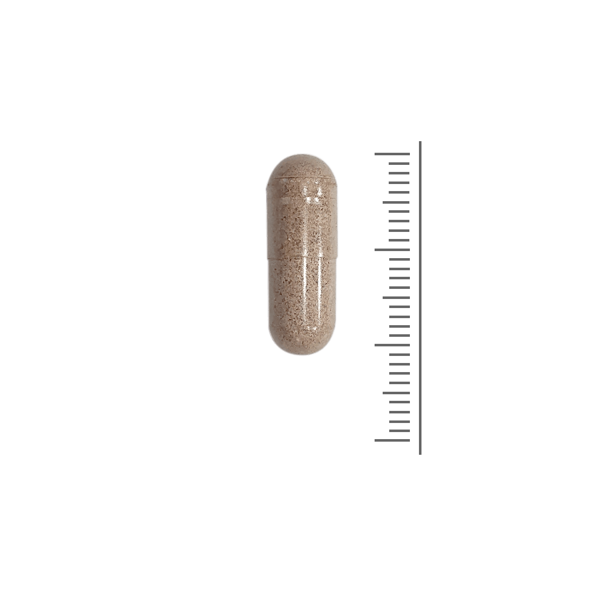 Female Fertility