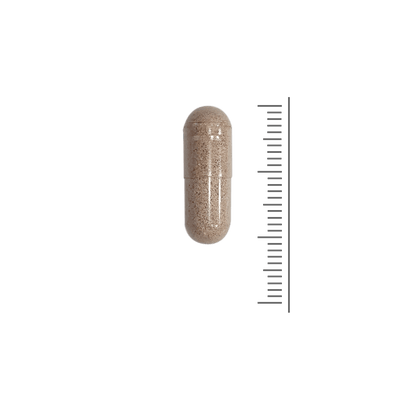 Female Fertility