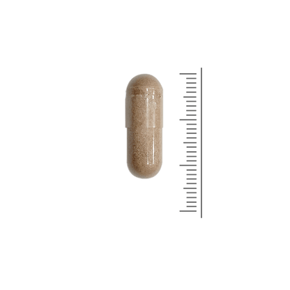 Glucosamine Plus 1500 mg