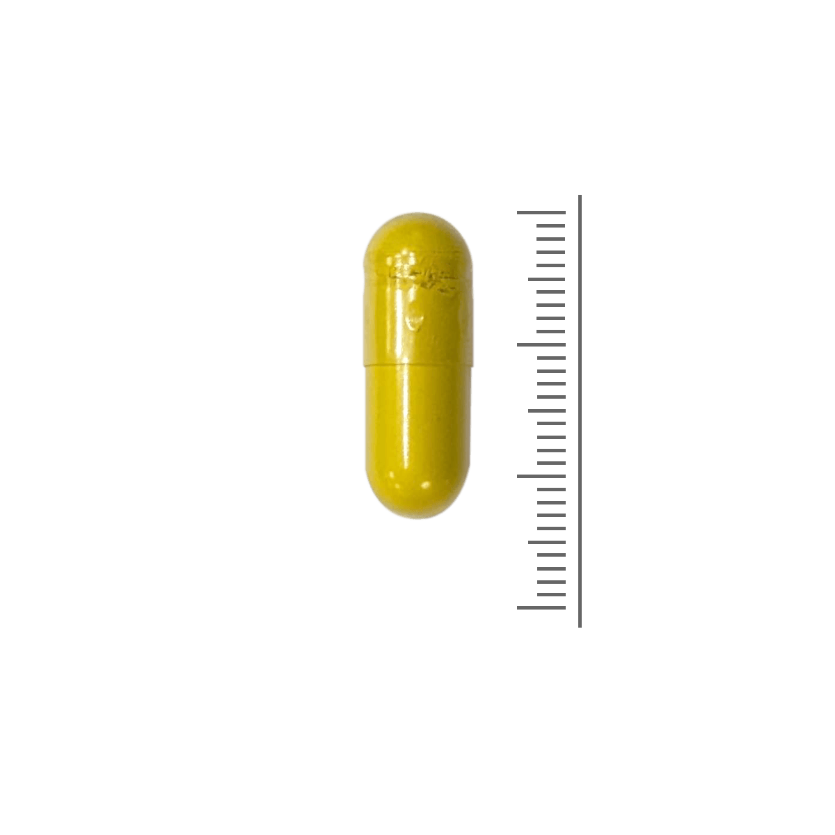 Berberine 500mg