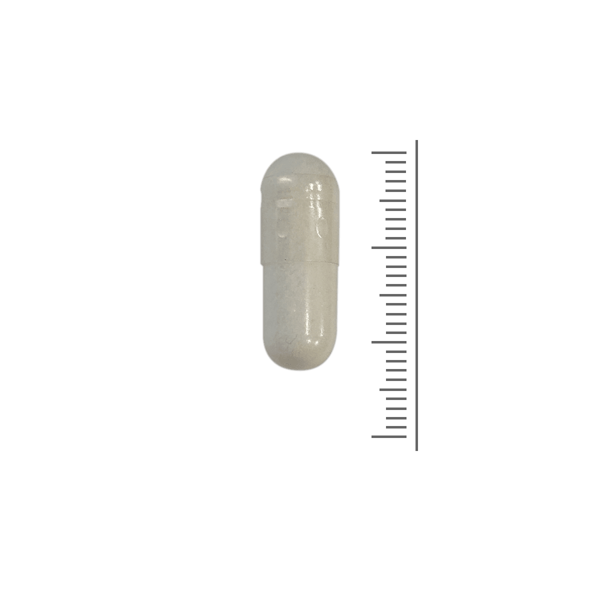 N-Acetyl-L-Cysteine (NAC)