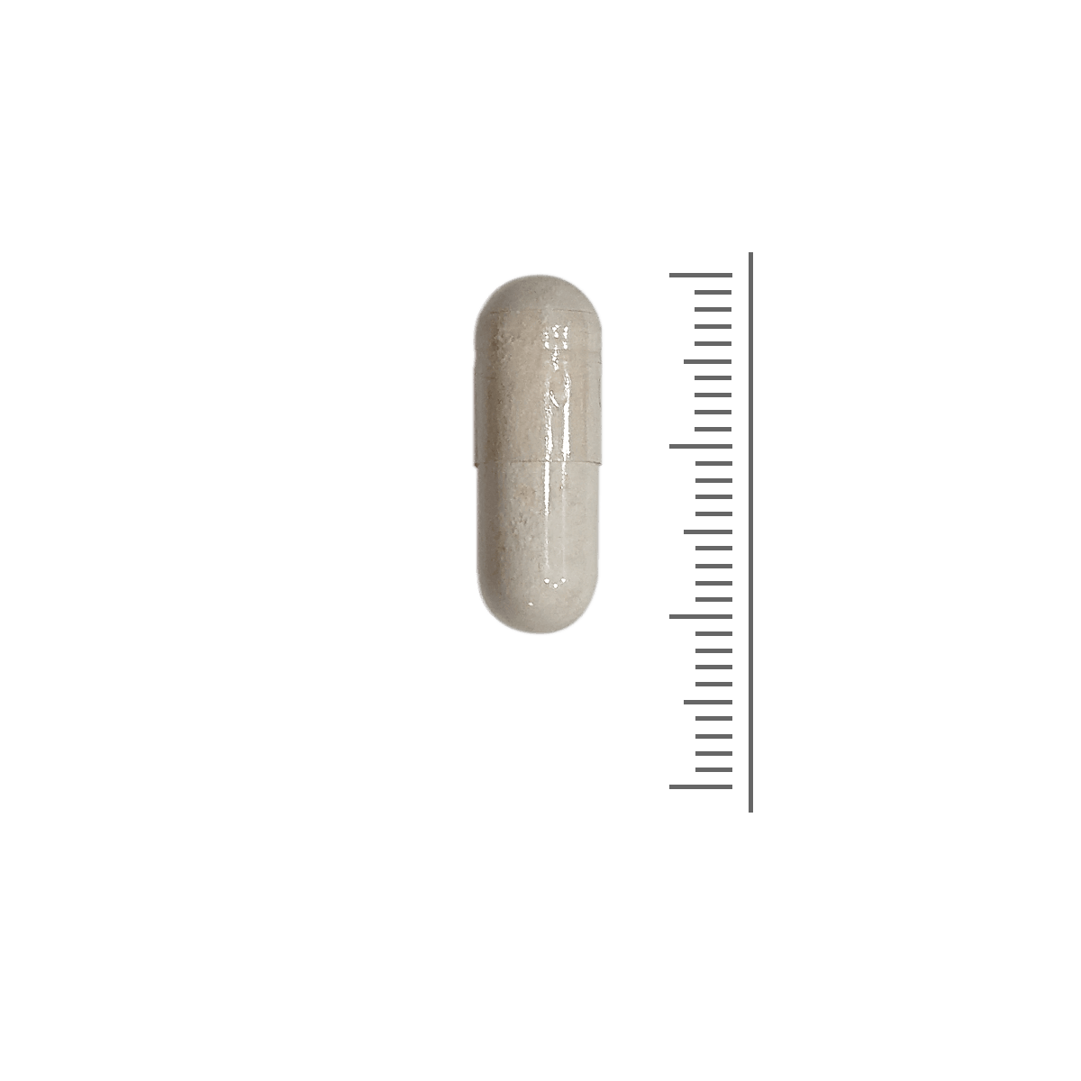 Probiotica Expert