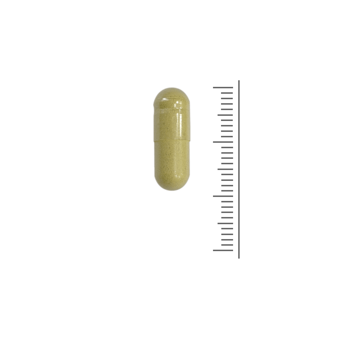 Quercertine Xtr