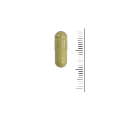 Quercertine Xtr